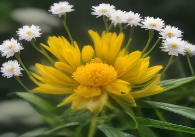水蜜桃tv综艺合辑封面，多位嘉宾合影，节目感强烈